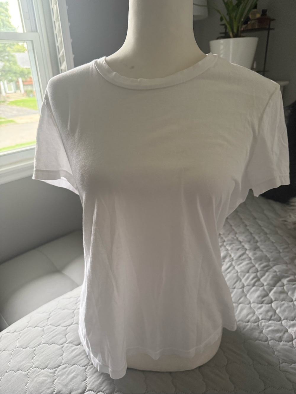 Essential Women's White Crewneck Short Sleeve Tee